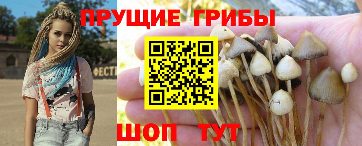 Псилоцибиновые грибы ЛСД Кисловодск