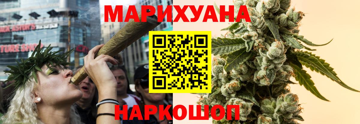 Каннабис планчик Кисловодск